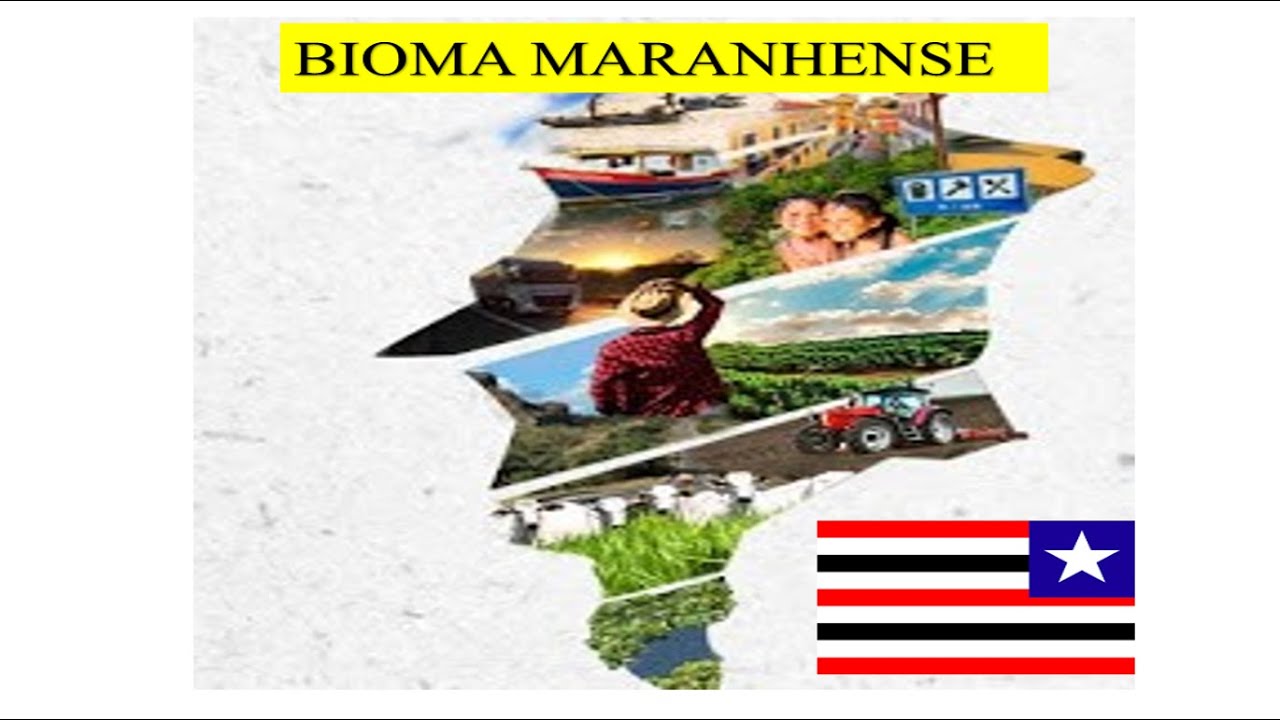 Vegetação, hidrografia e relevo do MARANHÃO