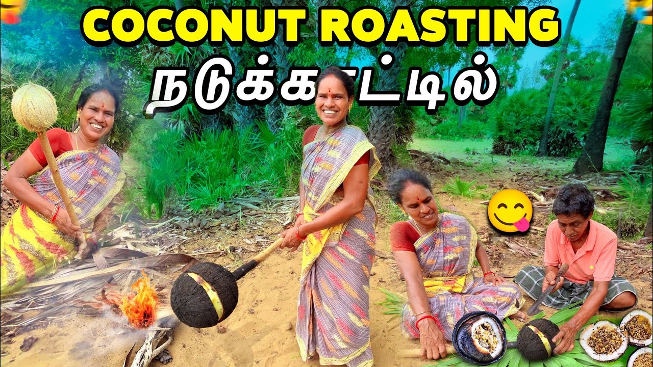COCONUT ROASTING நடுக்காட்டில் அப்பா அம்மா வேட்டை 🤣| Kolaaru family