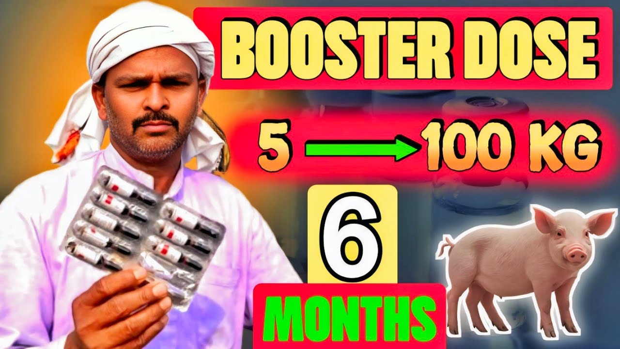 Booster Dose Dene Ka Fayda । बूस्टर डोस देने के क्या फायदे हैं । Sukar ka vajan bandhane ke liye❓
