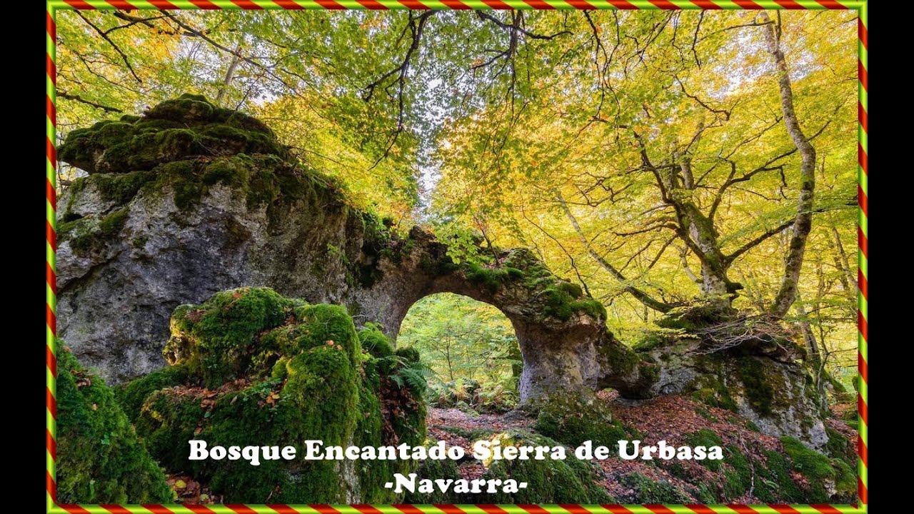 Bosque encantado Sierra de Urbasa  -Navarra-