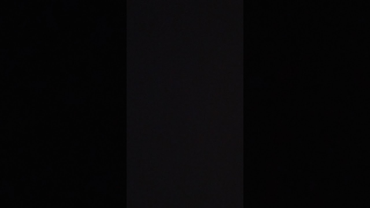 Koduvein