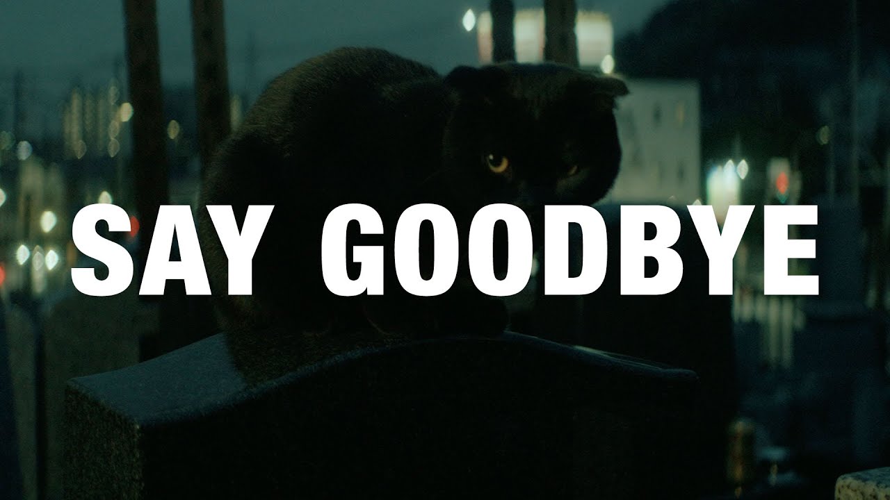 Ufo361 - SAY GOODBYE