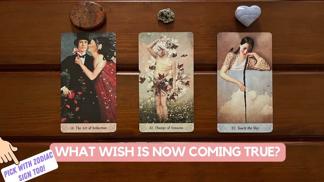 What Wish is Now Coming True? | Timeless Reading