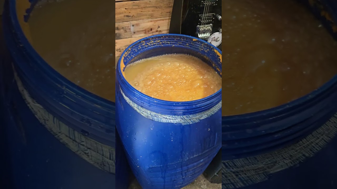 I Made Moonshine from 65 ROTTING Cantaloupes...