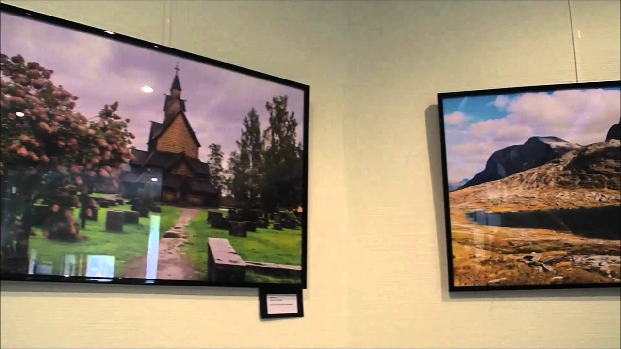 Zusammenfassung meiner ersten Fotoausstellung 19.05.-10.08.2015 Verbandsgemeinde Rhein-Selz