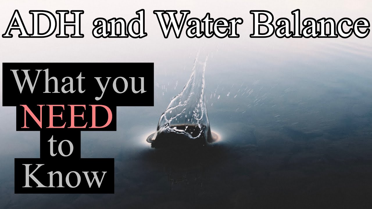 What you NEED to know about Water Balance and ADH (Antidiuretic Hormone) | Renal Physiology