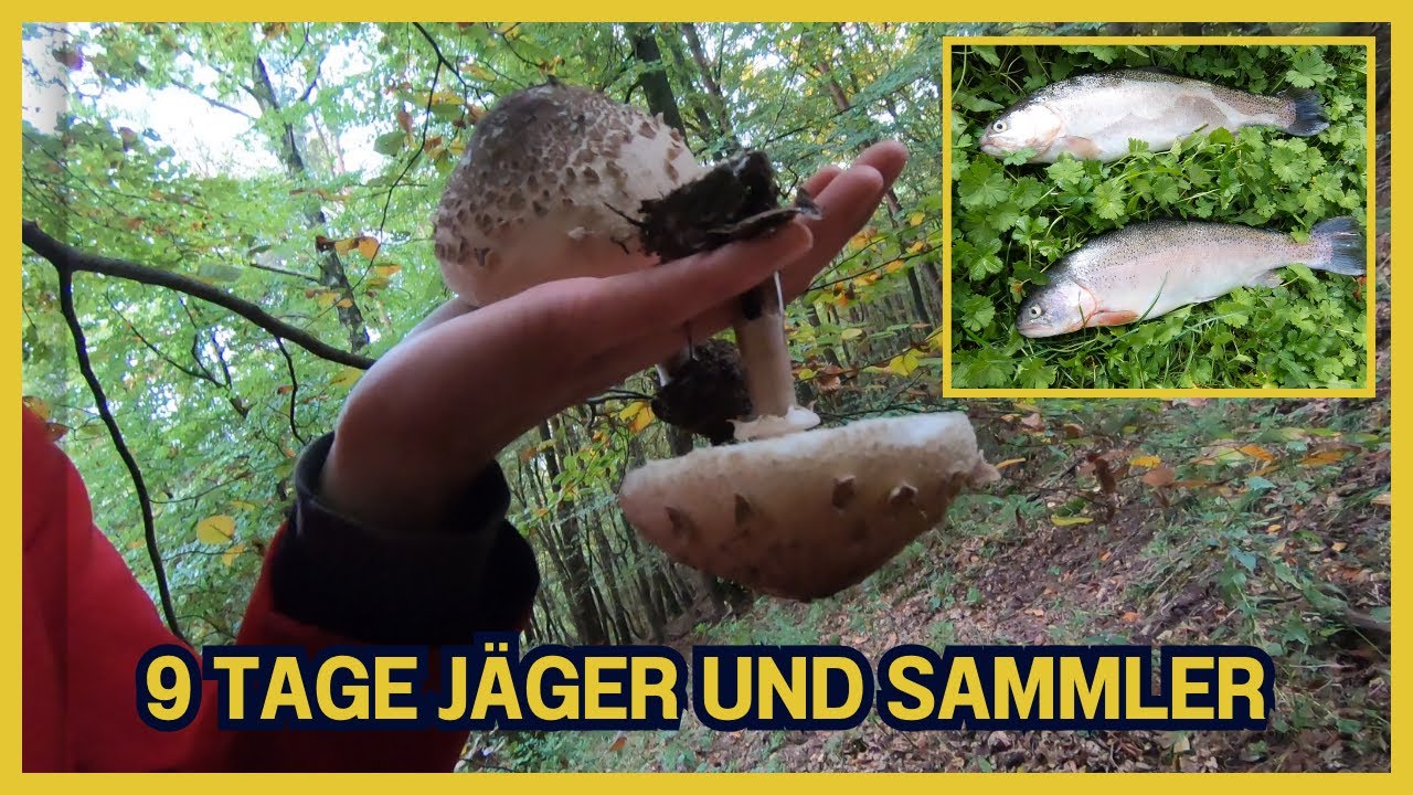 9 Tage als Jäger und Sammler leben (Teil 2)
