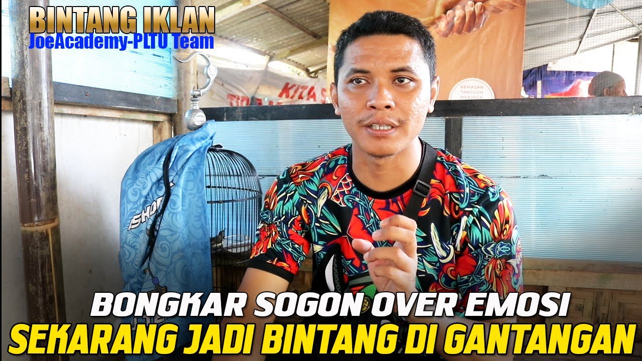 OVER EMOSI PADA SOGON SEPERTI INI|||Kupas rawatan sogon bintang iklan yang raih Quattrick.