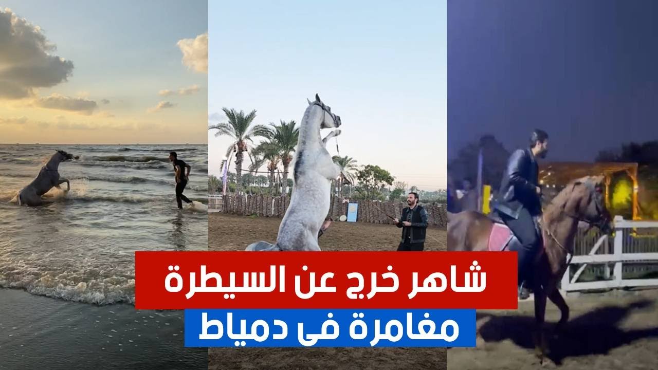 الحصان الفحل شاهر خرج عن السيطرة فى دمياط الجديدة | #٦٠شو_مع_الدكتور_حاتم_ستين