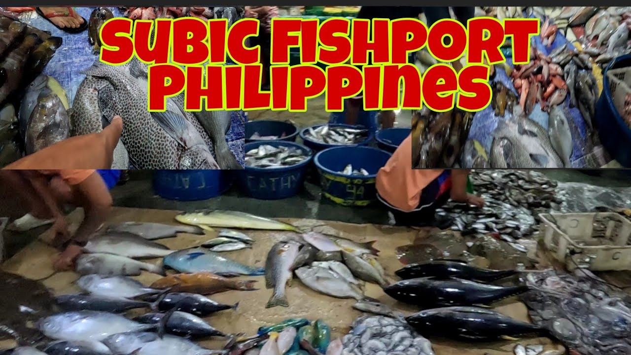 Amazing Fishport at night | From Fishing boats to fishport | Subic Philippines