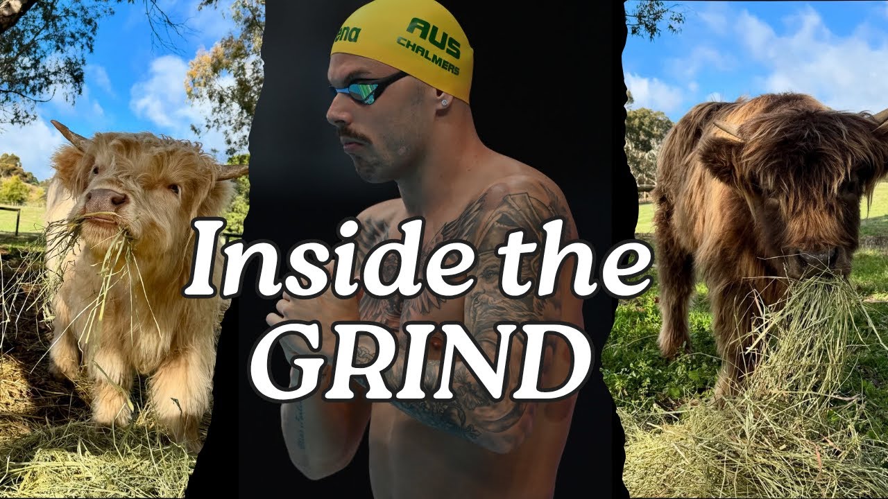 What times is an Olympic Champion swimming in training? | EXCLUSIVE training insight + Farm DRAMA