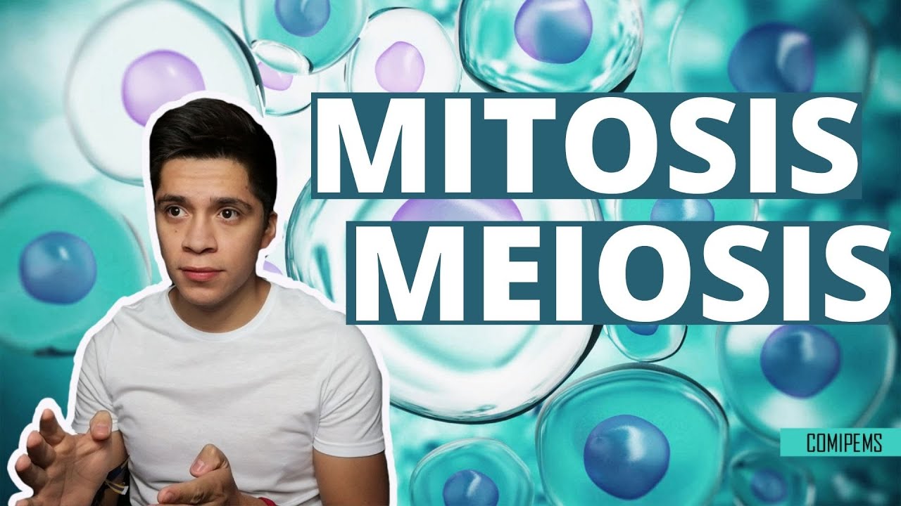 MITOSIS Y MEIOSIS | COMIPEMS