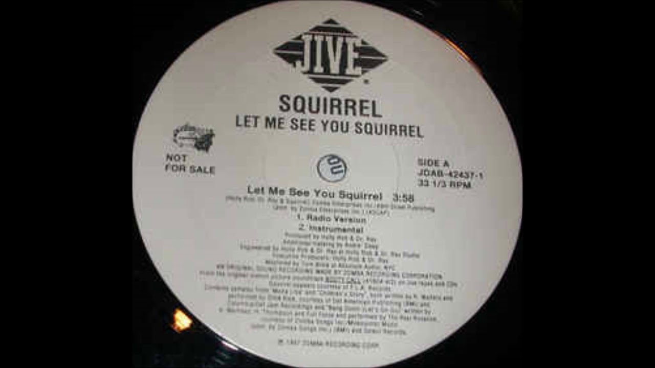 Squirrel - 