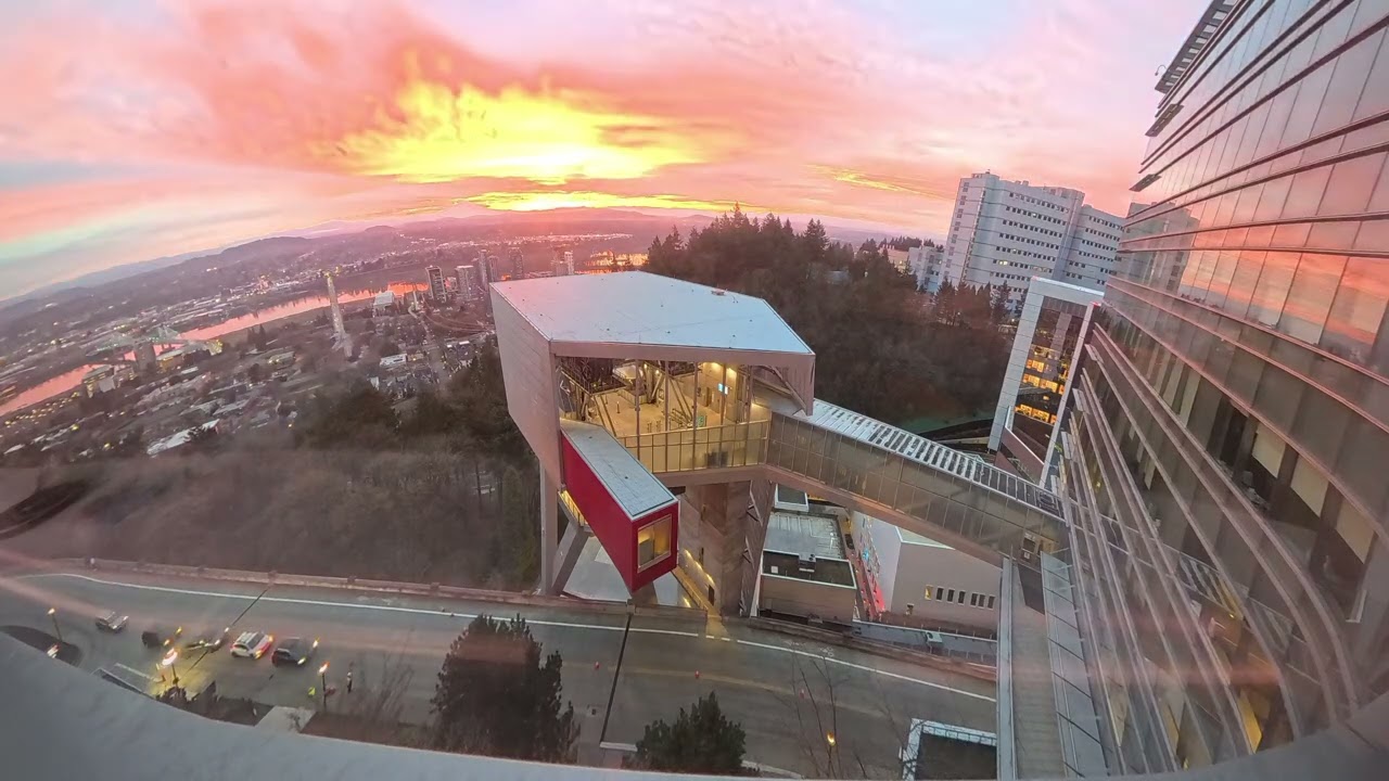 OHSU 14K MDS BMT D+16 Time-lapse