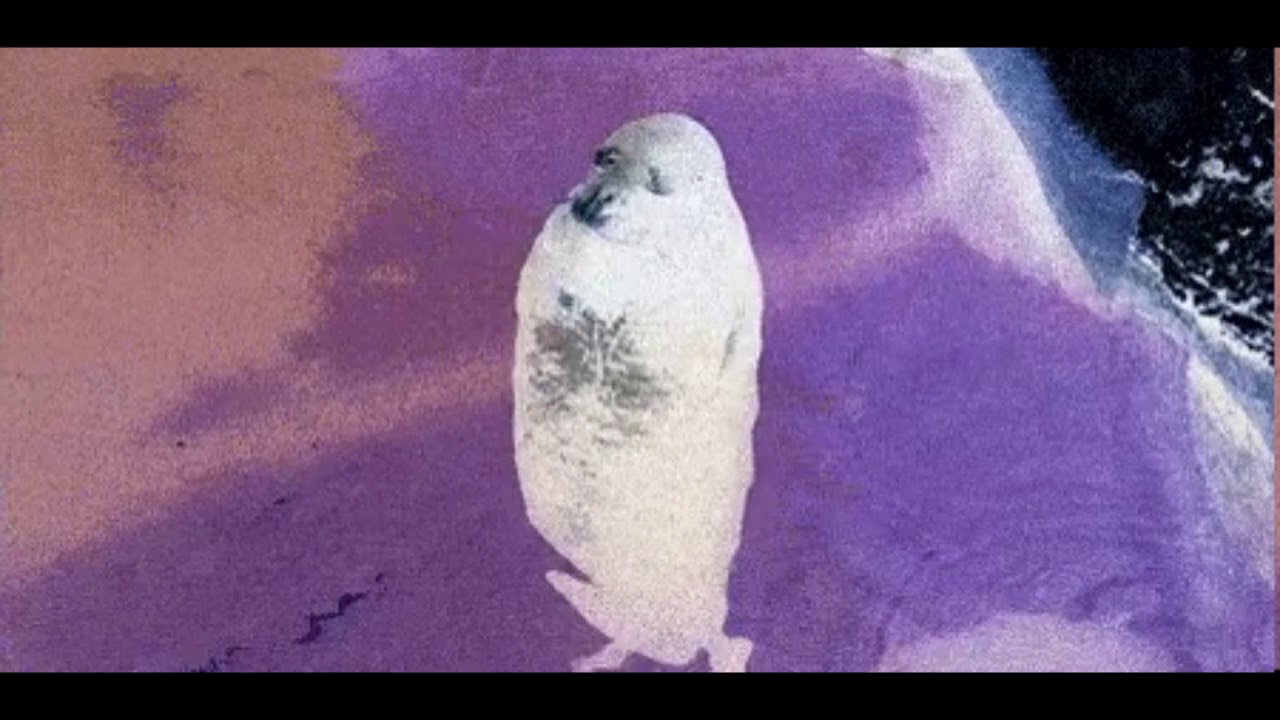 K i s s  f r o m  a  r o s e [ V A P O R W A V E ]