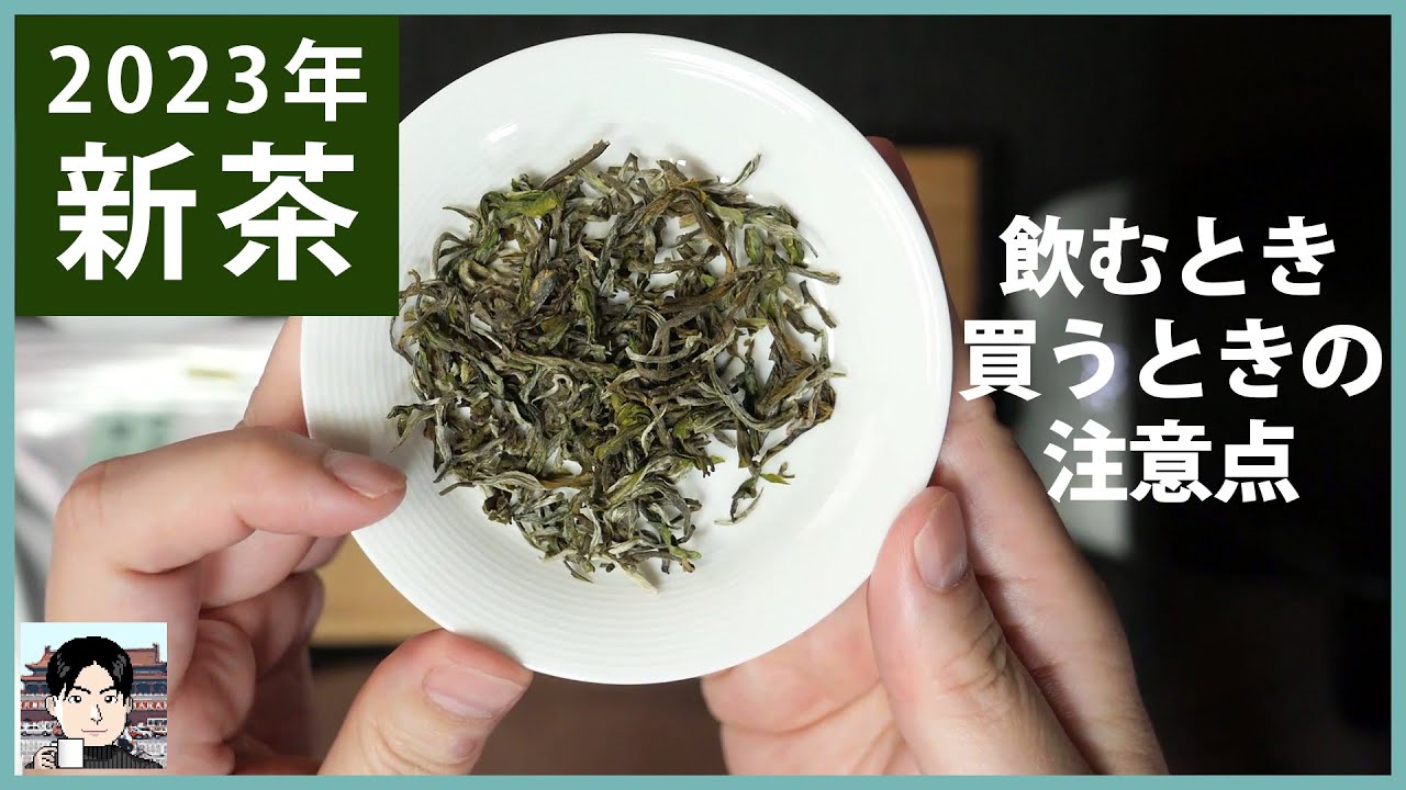 新茶を飲むとき・買うときに気をつけたいこと－小梅茶荘・蘭韵白毫の2023年新茶を飲みながら解説