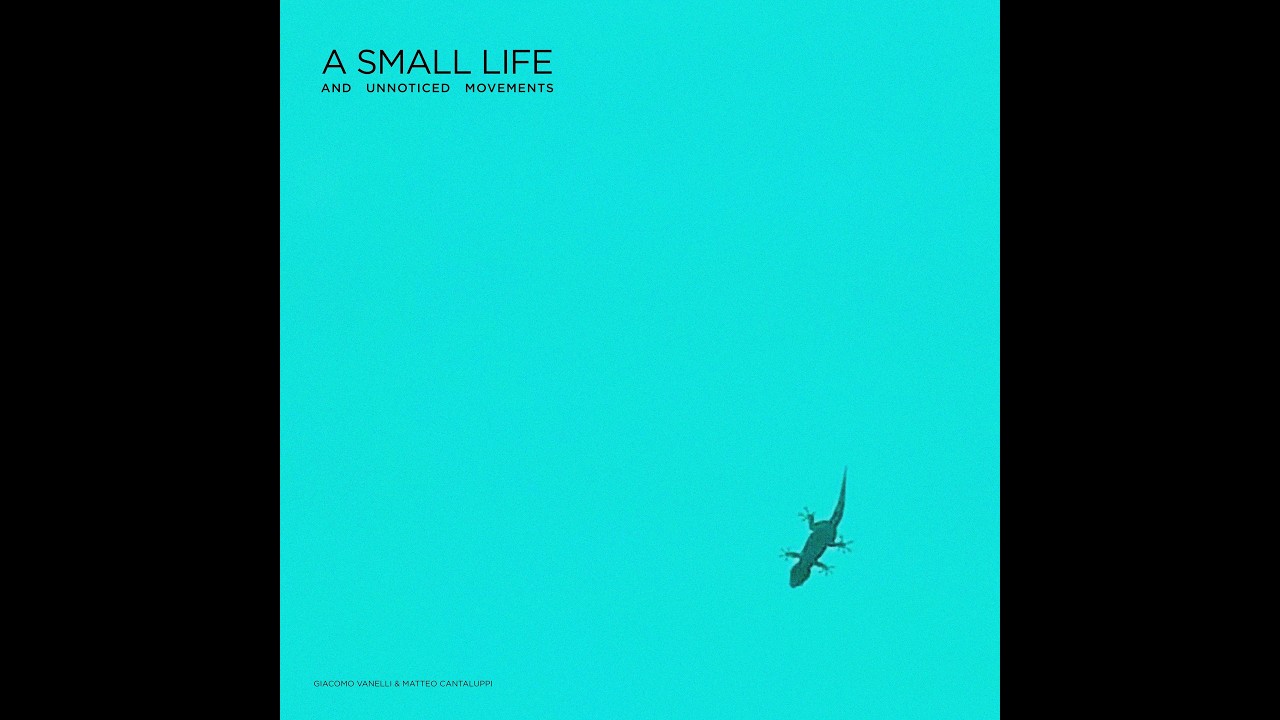 Giacomo Vanelli & Matteo Cantaluppi - II - Leaf Trace (Official Video)