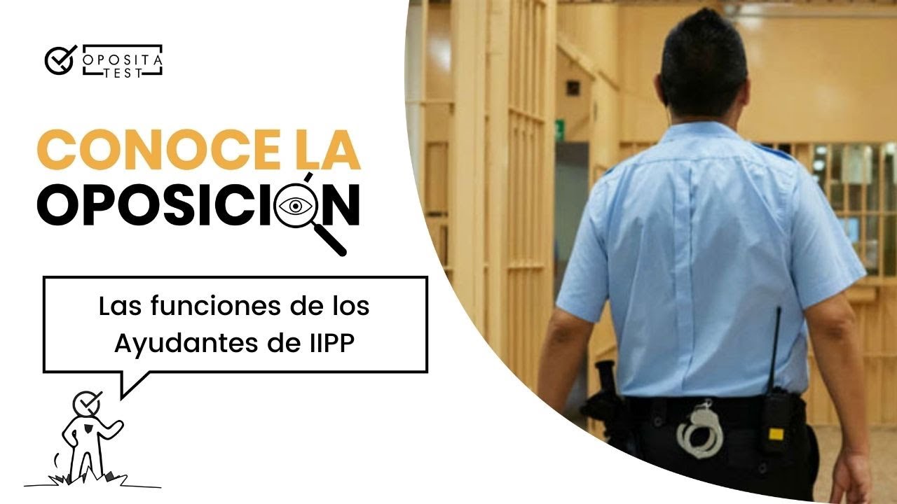 ⛓️ Las funciones más habituales de los Ayudantes de IIPP