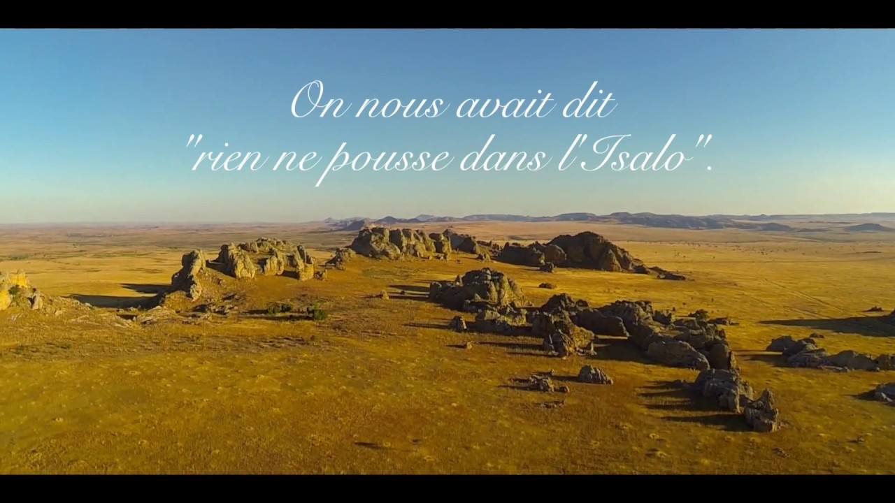 Isalo Bio Agriculture Tropicale Madagascar