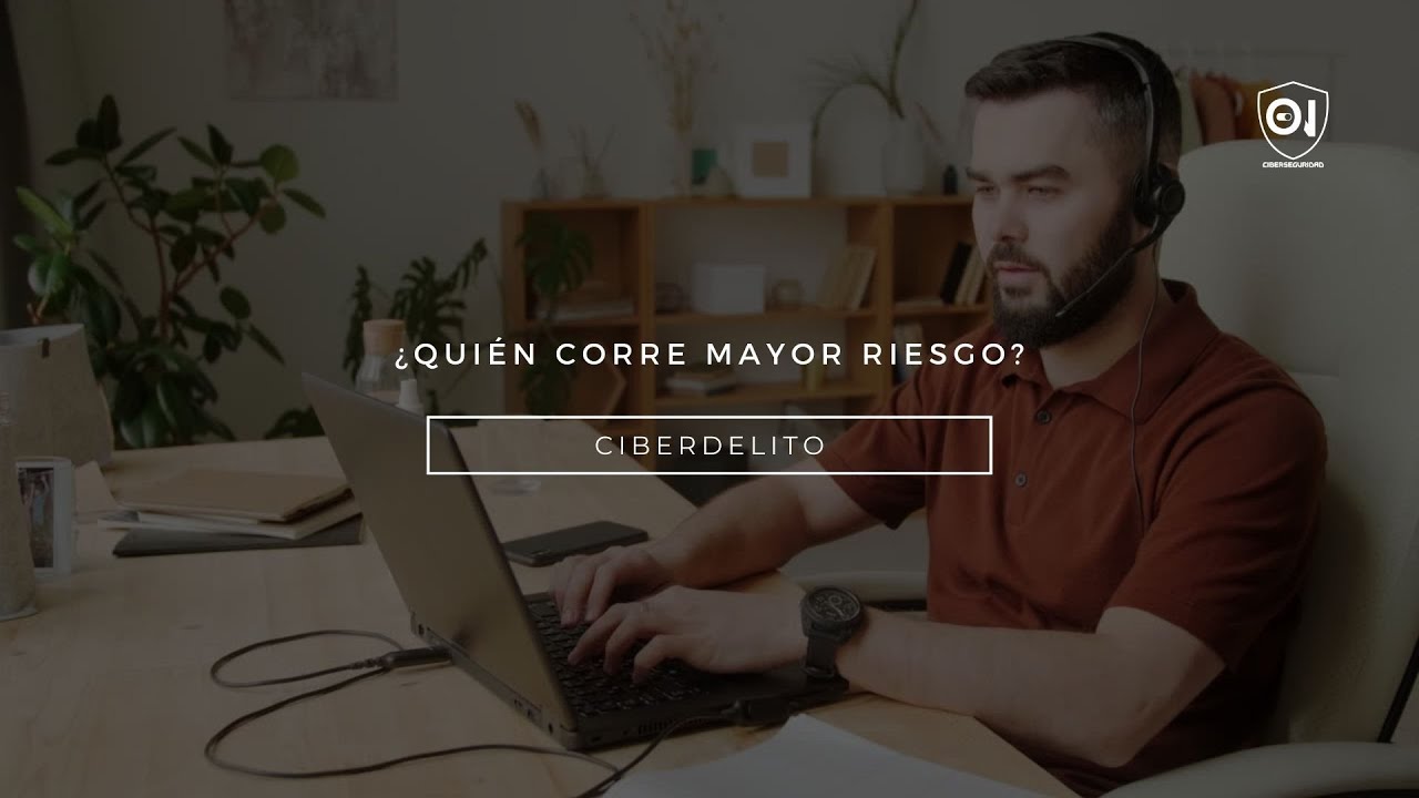 Cibercrimen - &iquest;Qui&eacute;n corre mayor riesgo?