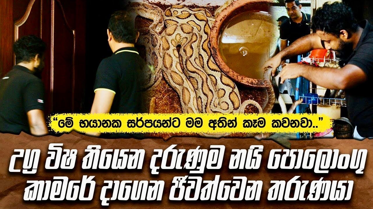 මේ සර්පයො දෂ්ට කරද්දිත් මම අතින් කවනවාIඋග්‍ර විෂ තියෙන දරුණුම නයි පොලොංගු කාමරේ දාගෙන ඉන්න තරුණයා|