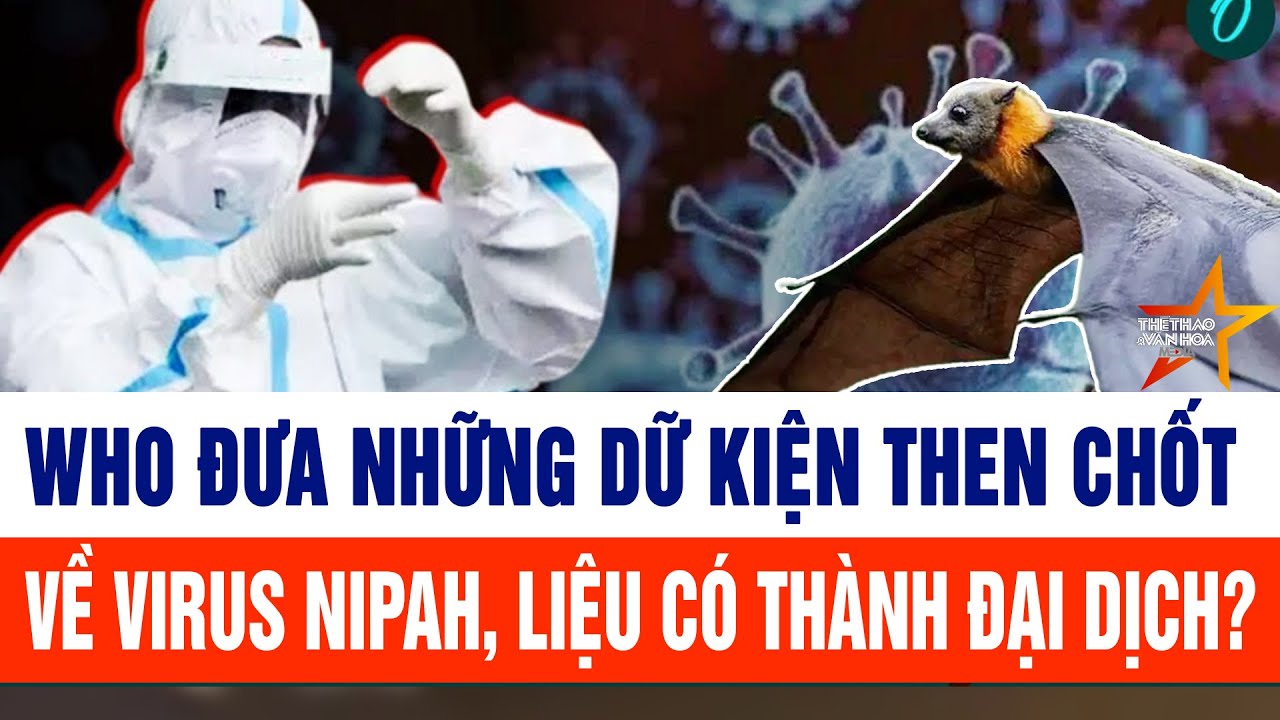WHO đưa những dữ kiện then chốt về virus Nipah, liệu có thành đại dịch?
