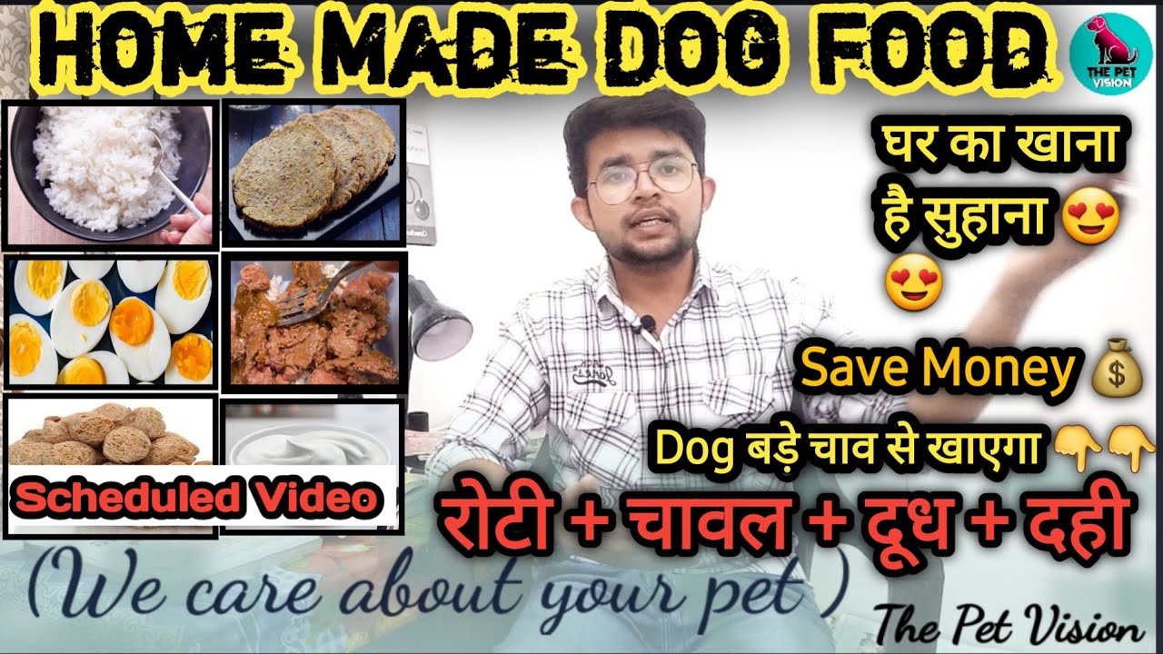 home made dog food || home made dog diet plan || घर का खाना || वही दो जो best हो || dog diet plan