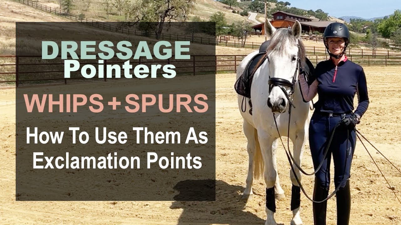 Dressage Pointers: WHIPS + SPURS: How To Use Them As Exclamation Points