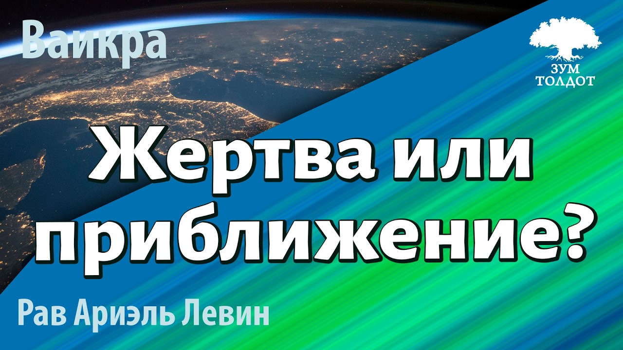 Zoom-уроки Толдот.ру