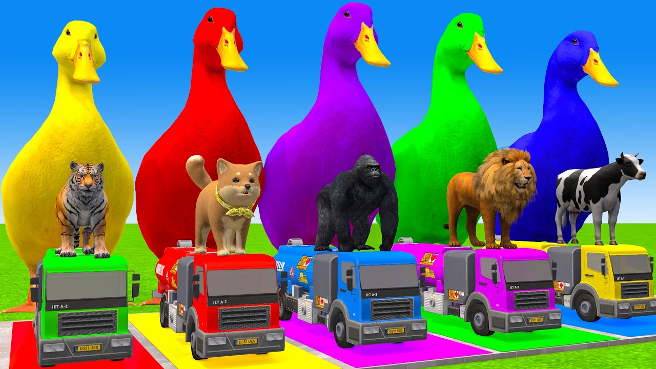 5 Giant Duck Cartoon,Cow,Elephant,T-Rex,Tiger,Lion, Paint Wild Animals Crossing Fountain Animation