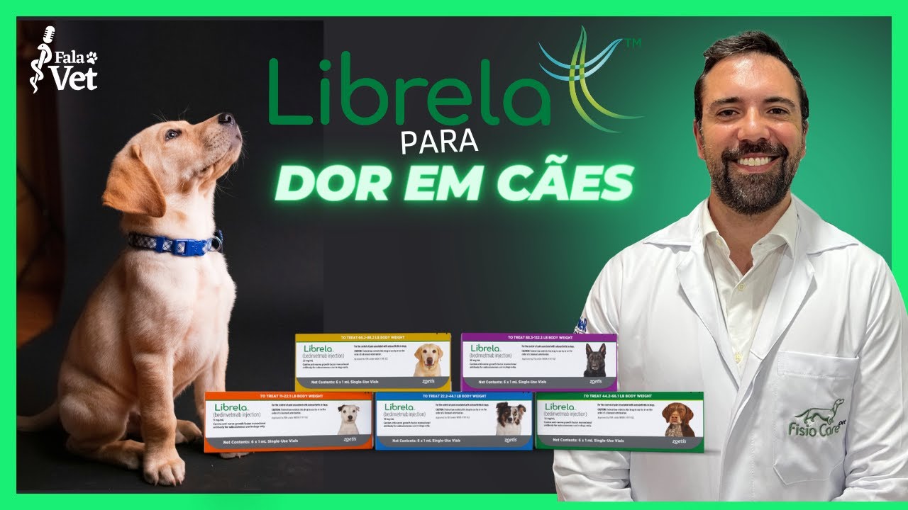 Librela para dor em Cães associado à fisioterapia