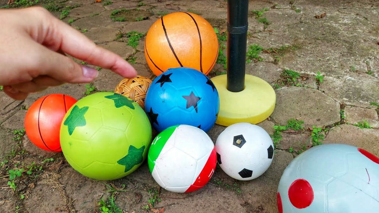 Mencari Bola Basket , Hunting Bola Sepak , bola warna warni , bola bola kecil ke Ring basket