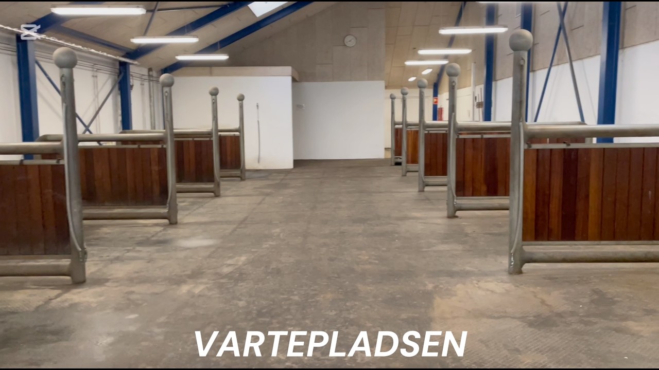 Velkommen til Tronsø Equestrian