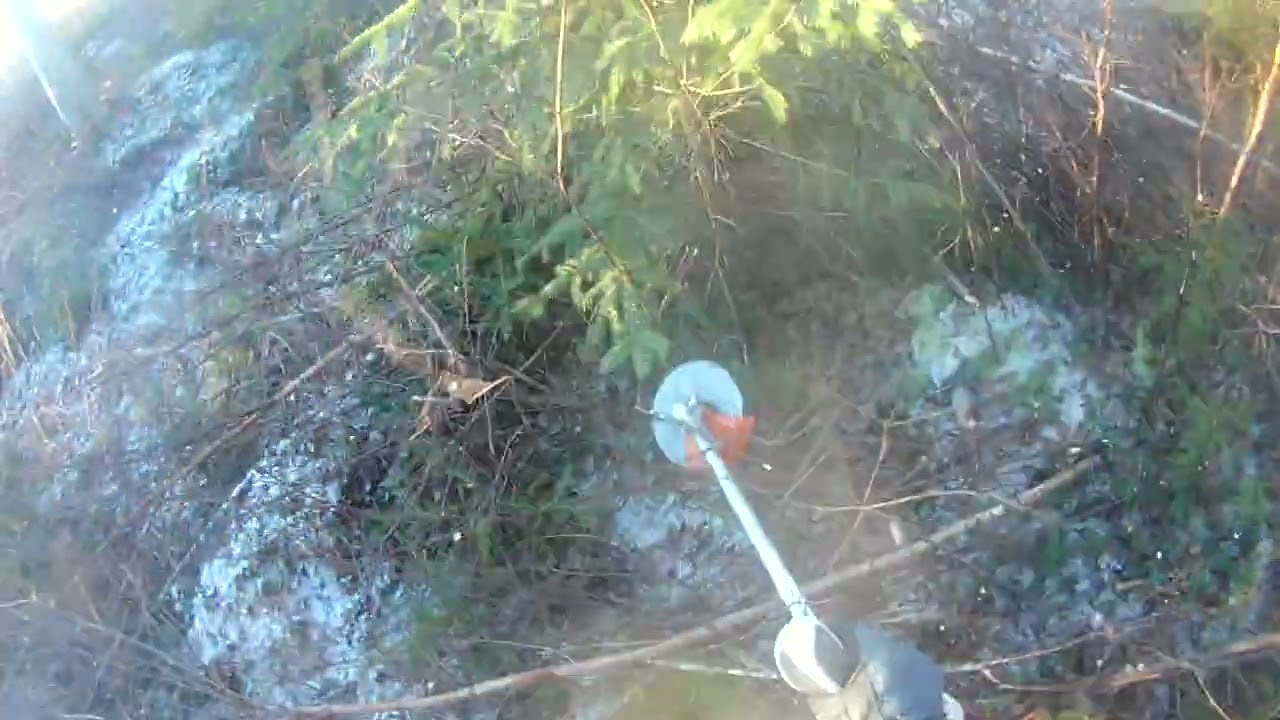 RÖJNING före nyår. 🌲  Spara julgranen.