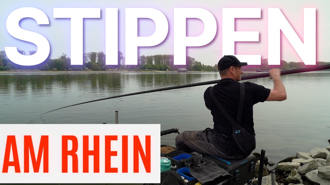 Stippen in der Str&ouml;mung! Grosser Aland - AUSNAHMEFISCH