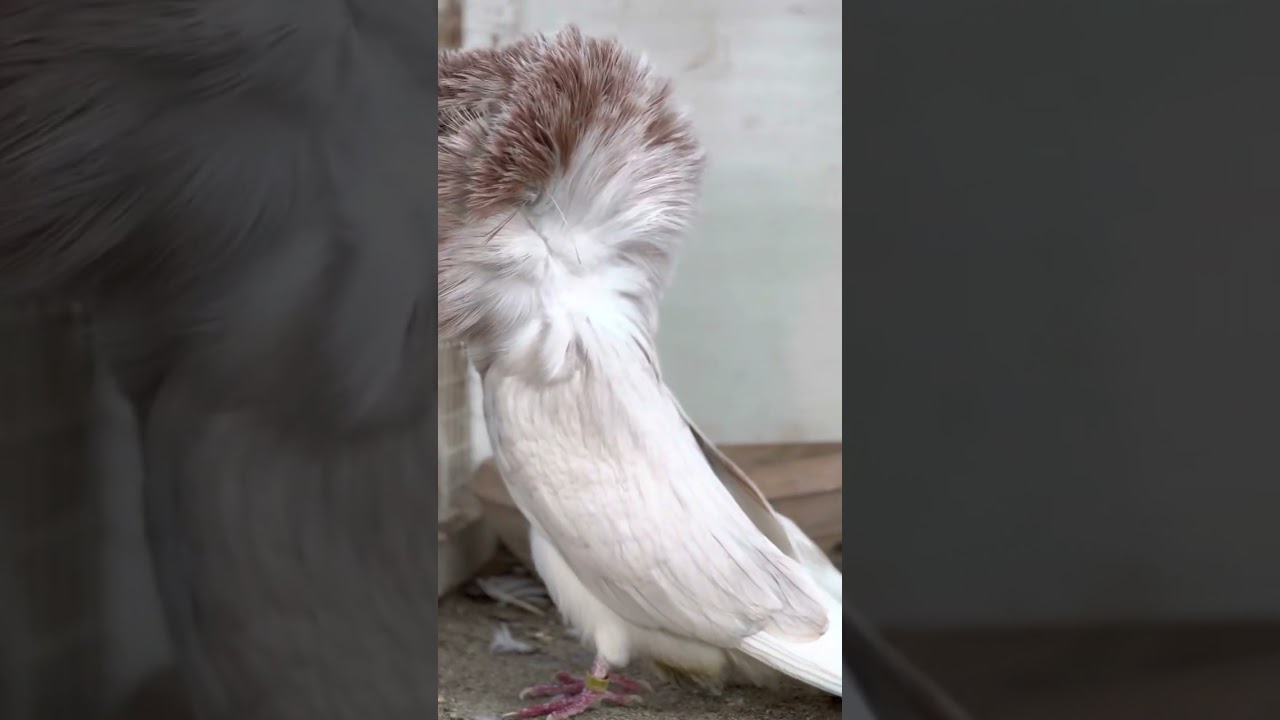 ٢٢ مارس، ٢٠٢٣