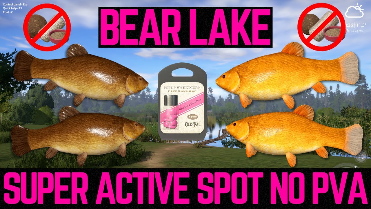 Russian Fishing 4 Very ACTIVE Spot NO PVA (Bear Lake)