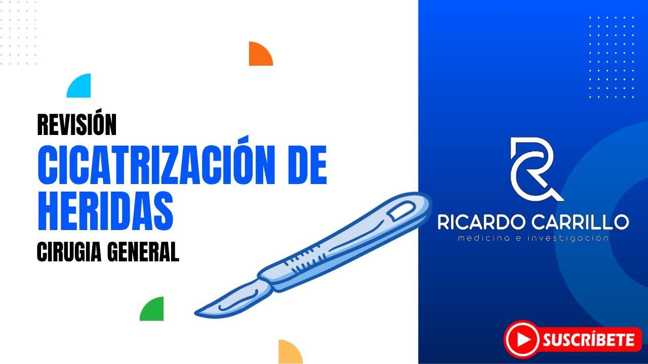 Cicatrización de heridas l Cirugía General