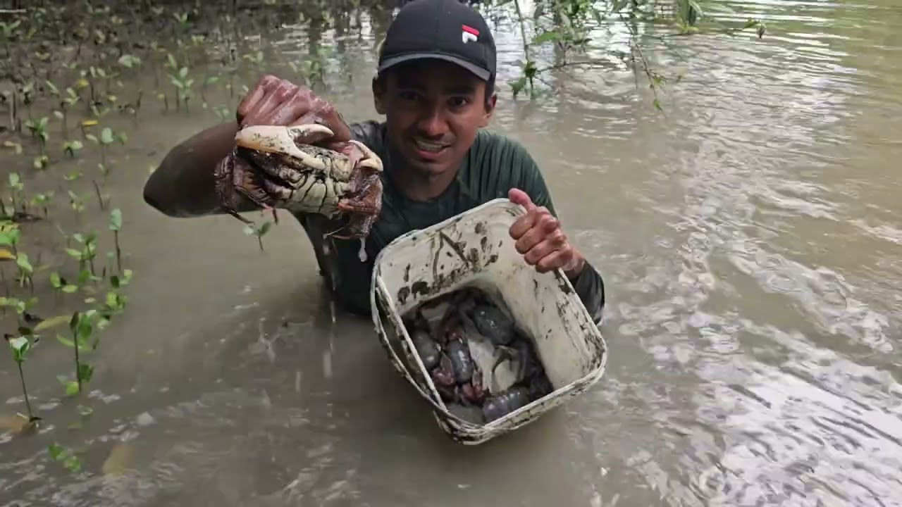 Pegando e comendo caranguejo no mangue