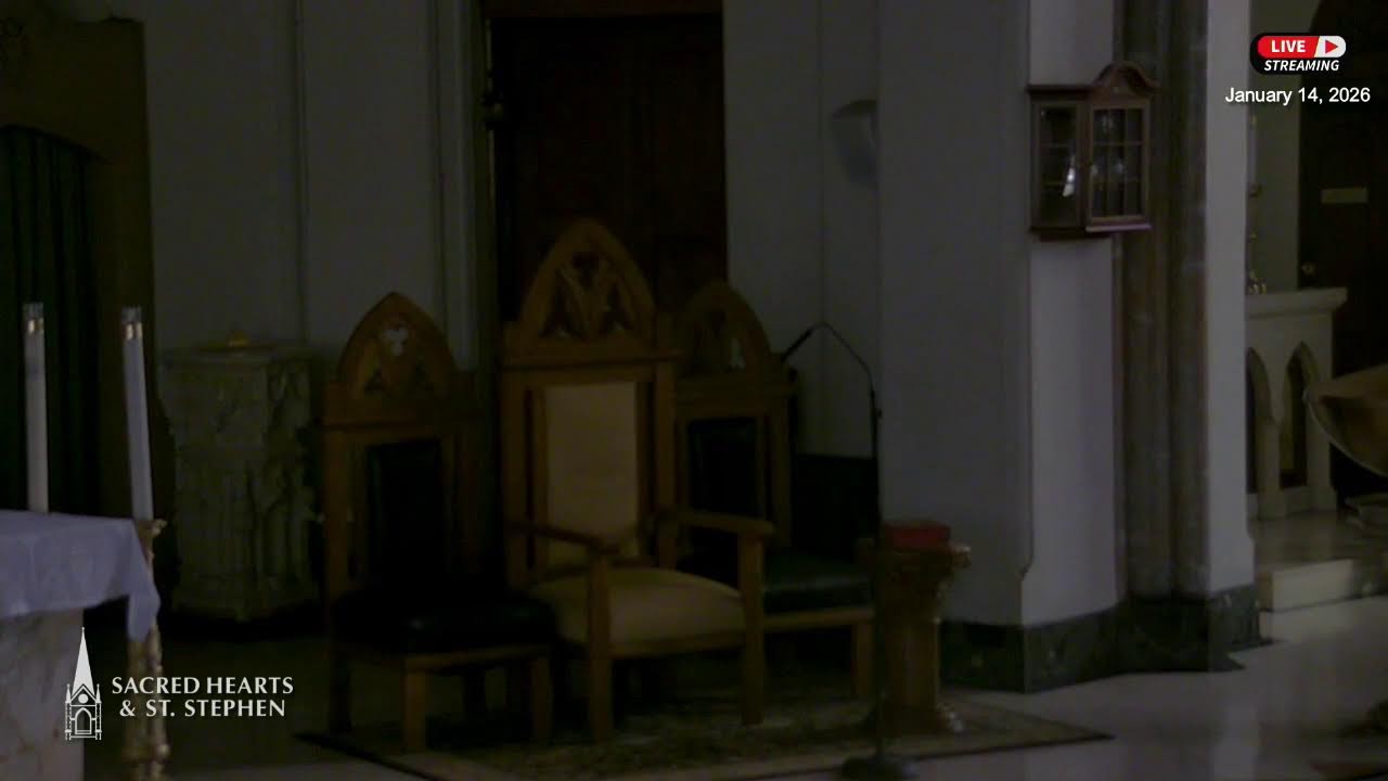 Daily Mass & Rosary (Monday-Saturday)