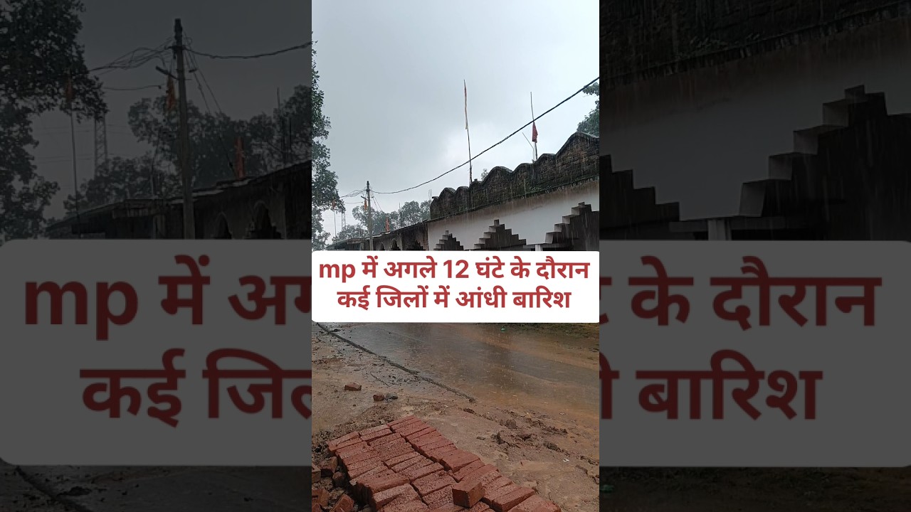 Mp heavy rain alert today and tomorrow 12 hours cyclone thunderstorm #shorts #short