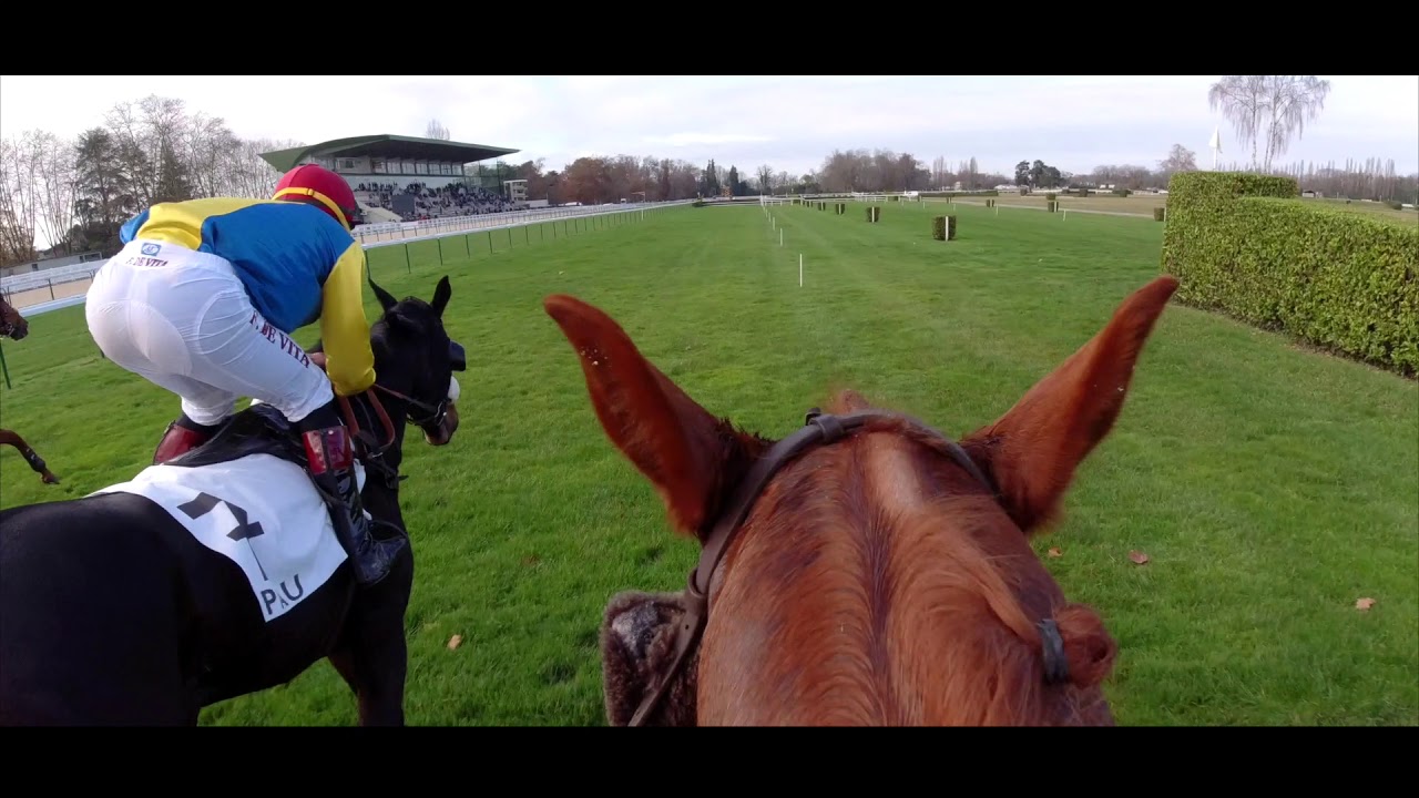 Hippodrome de Pau   Meeting 2019
