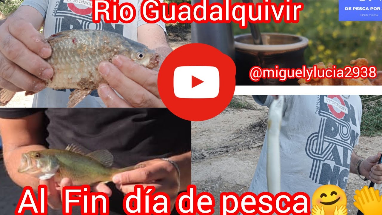 AL FIN!!! TENEMOS PIQUE☺️, 🐠🐟😄 LA FAMILIA CELEBRA SUS PRIMERAS CAPTURAS