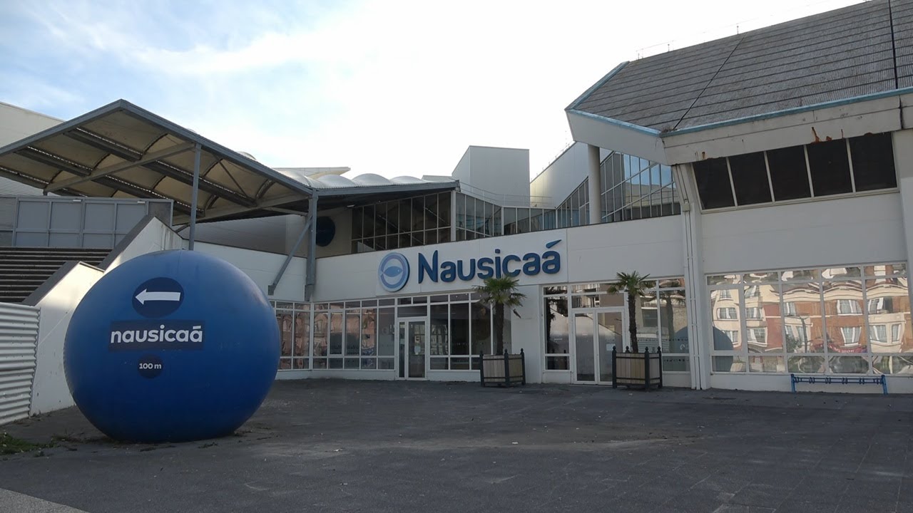 Nausicaá, September 2025