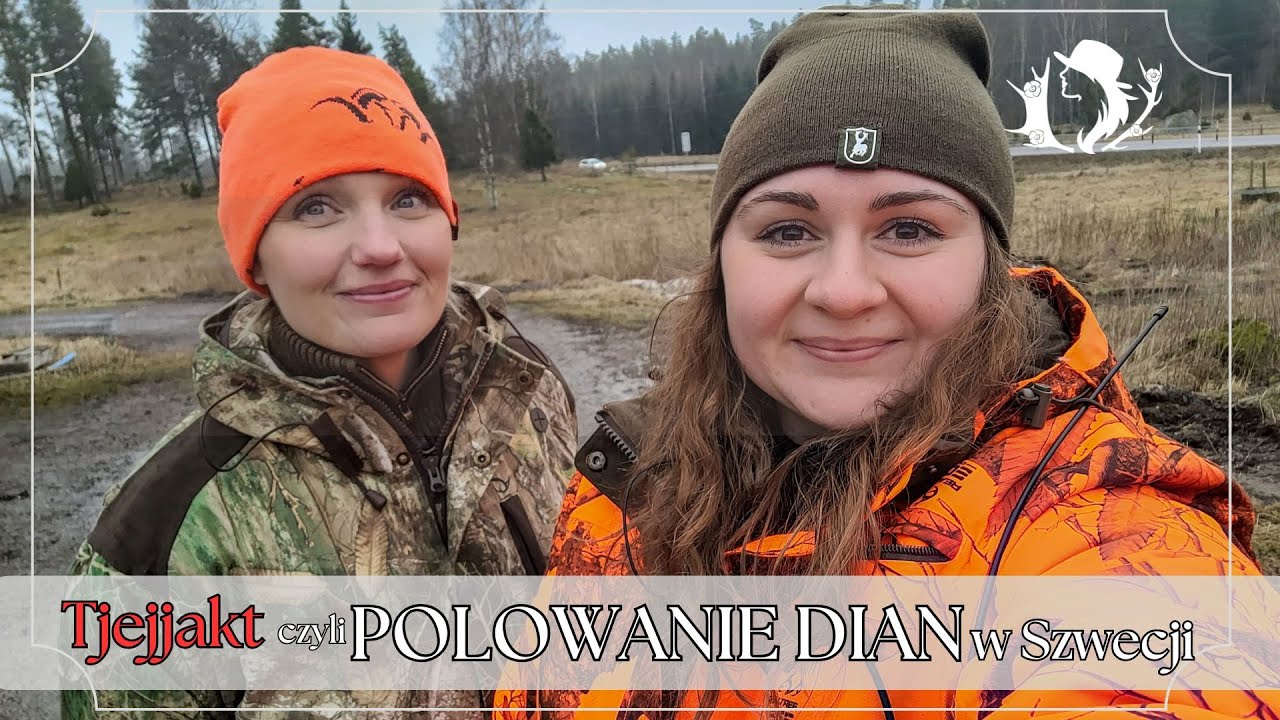 Polowanie Dian w Szwecji