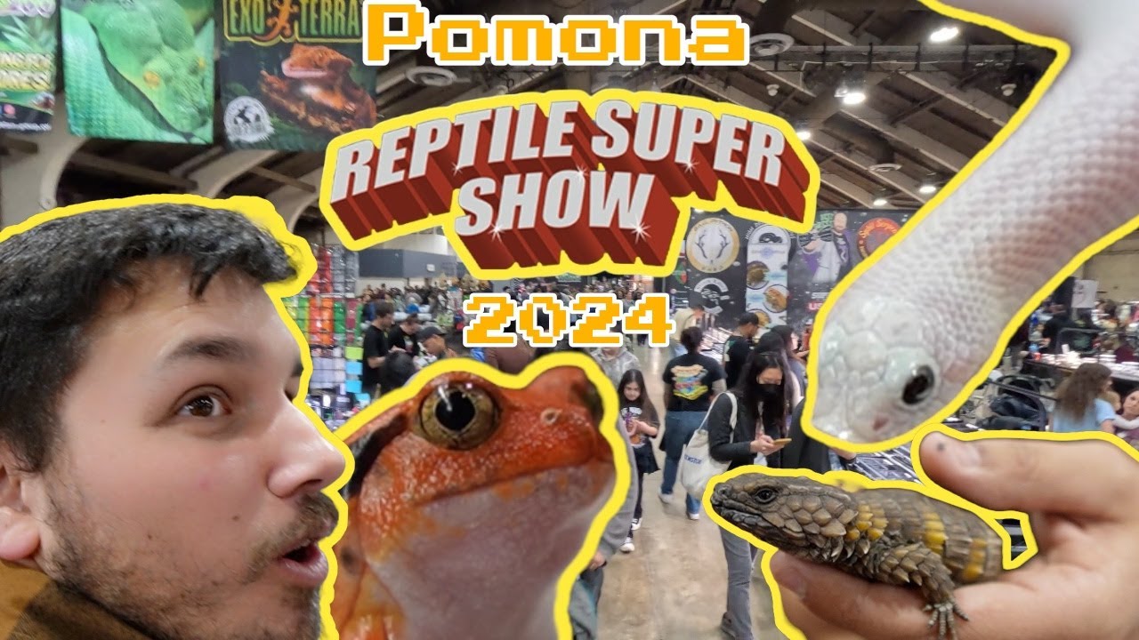 2024 POMONA REPTILE SUPER SHOW | This was one for the books!