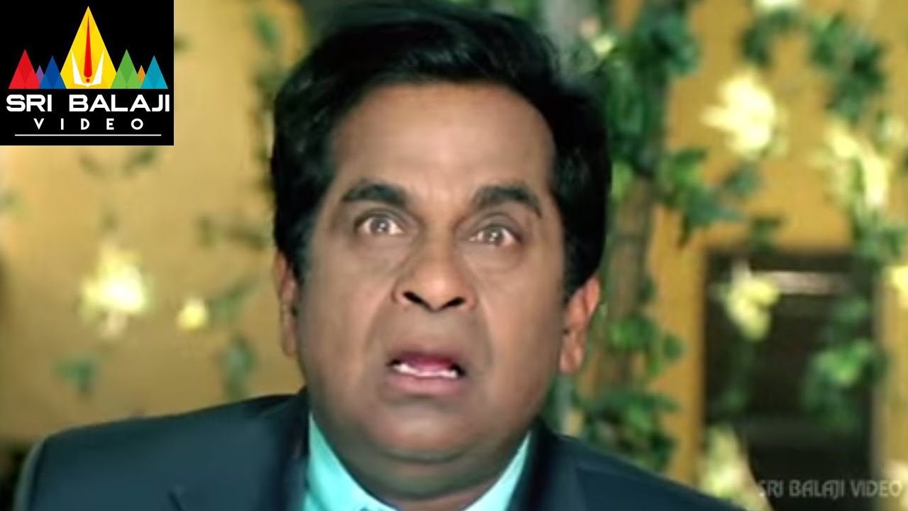 Party Movie Brahmi and Ravibabu Comedy Scene | Naresh, Shashank | Sri Balaji Video