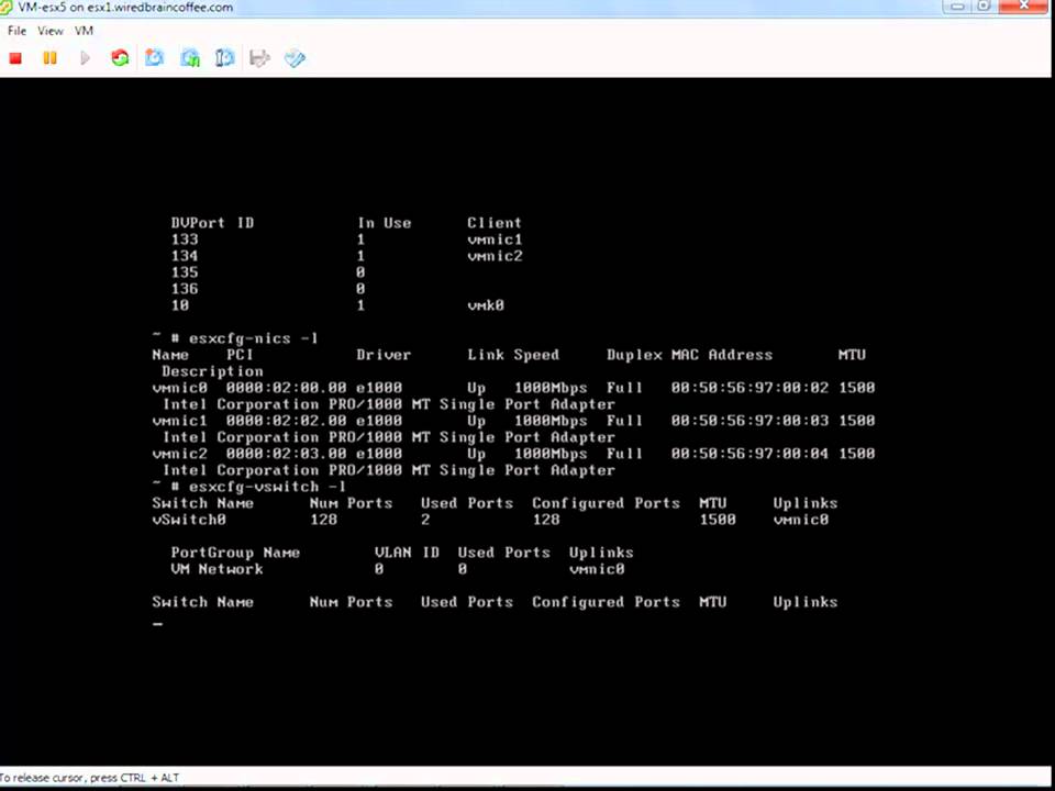 Restoring Connectivity in VMware ESXi