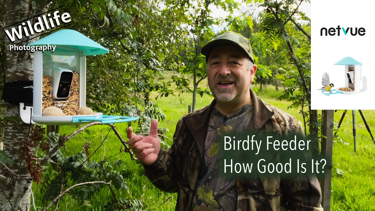 Netvue Birdfy Bird Feeder - UK Wildlife and Nature Photography