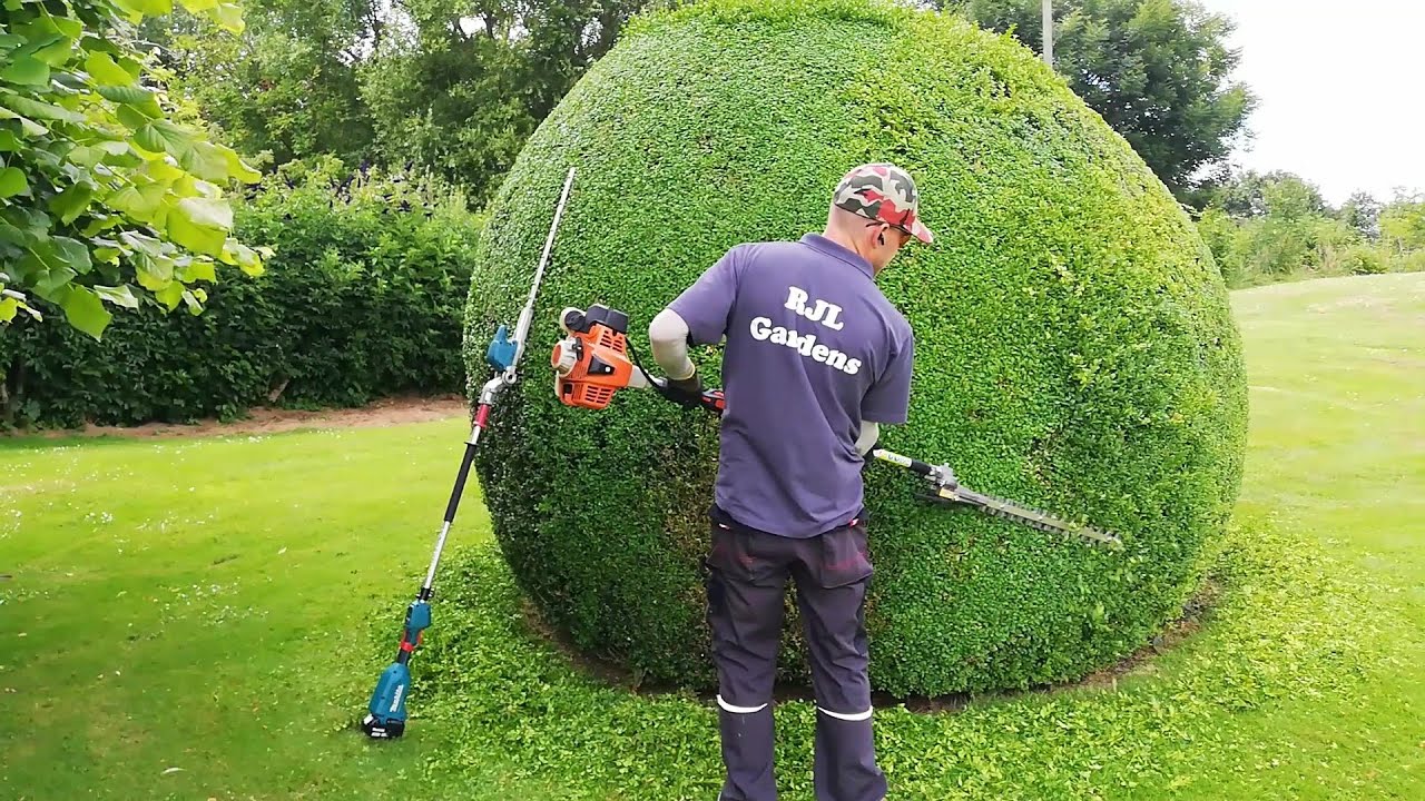 MAKITA DUN500WZ and STIHL KM 94 HEDGE TRIMMER in Action